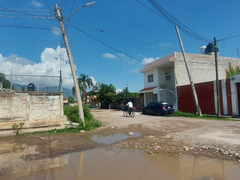 Entre encharcamientos y postes a punto de caer calle Alejandrina