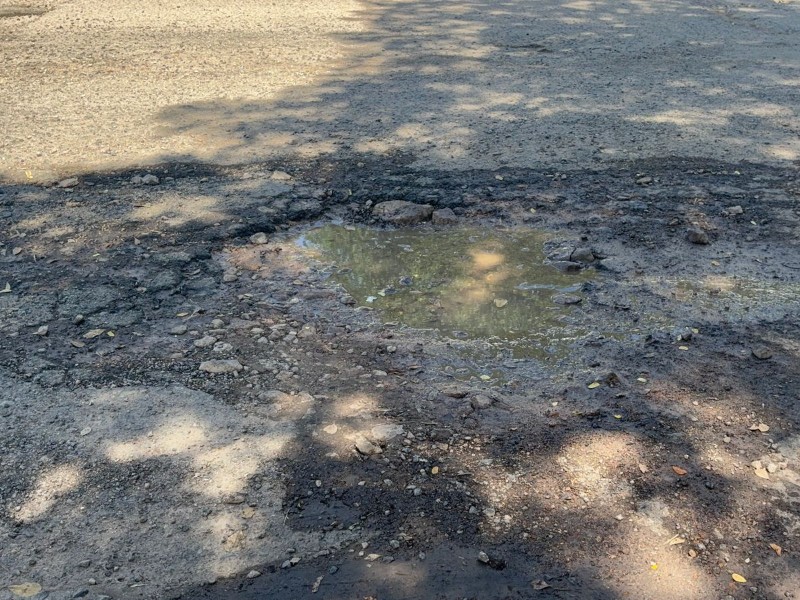 Entre grietas y enormes baches, bulevar 10 de Mayo se vuelve intransitable