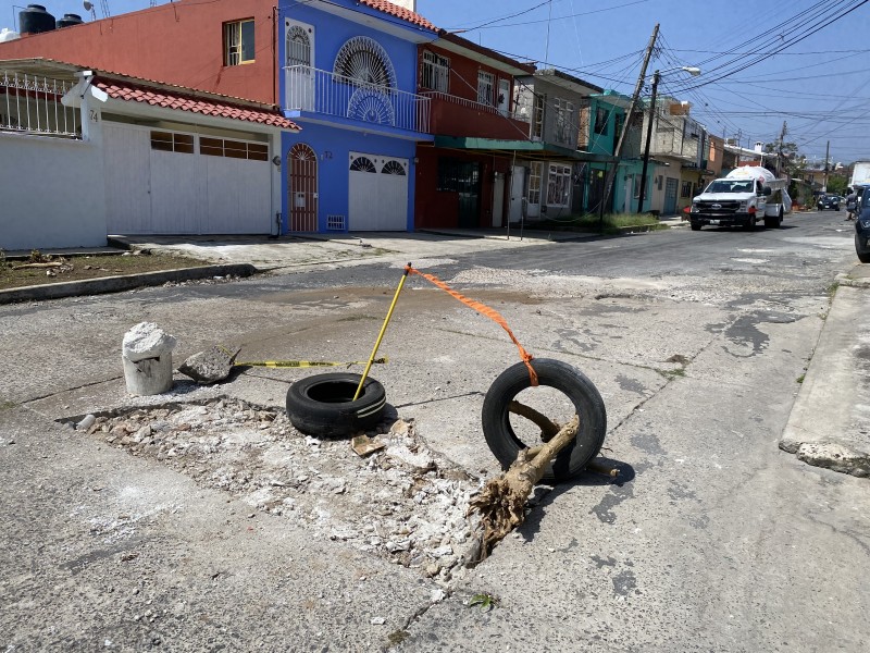 Entre hundimientos y baches, calle Coyoacán
