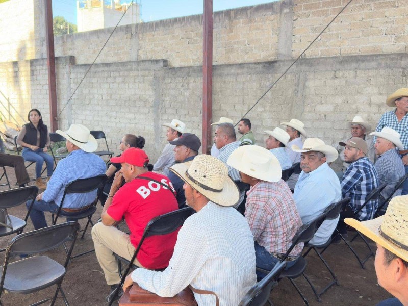 Entre sequía y costos altos: el clamor del campo ganadero en Xalisco