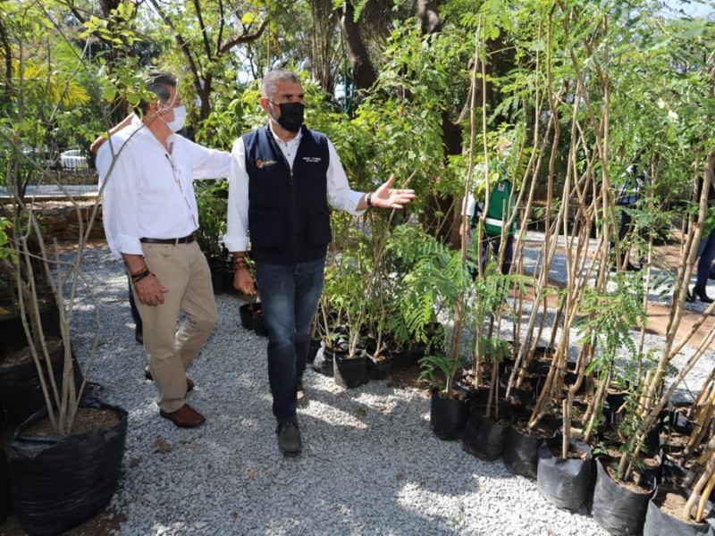 Entregan 502 árboles al ayuntamiento de Tuxtla