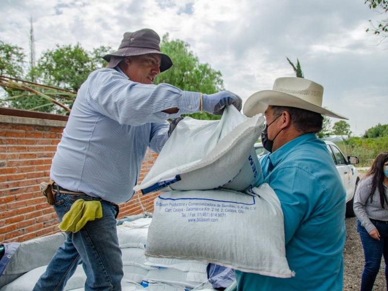 Entregan apoyos a productores