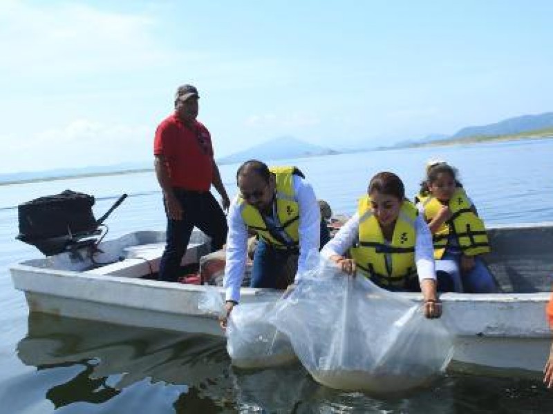 Entregan apoyos a productores de mojarra tilapia