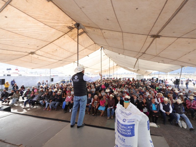 Entregan maíz para consumo humano en Huimilpan