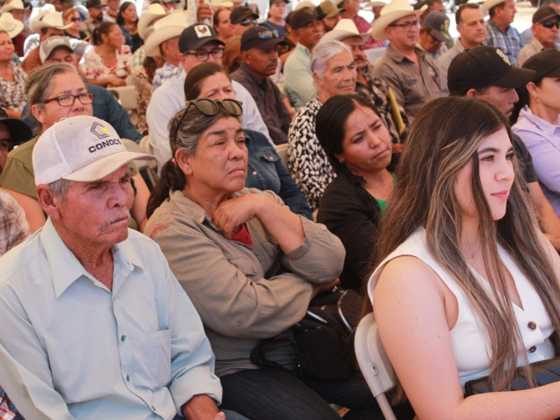 Entregan más de 3 mil toneladas de fertilizante en Álamos