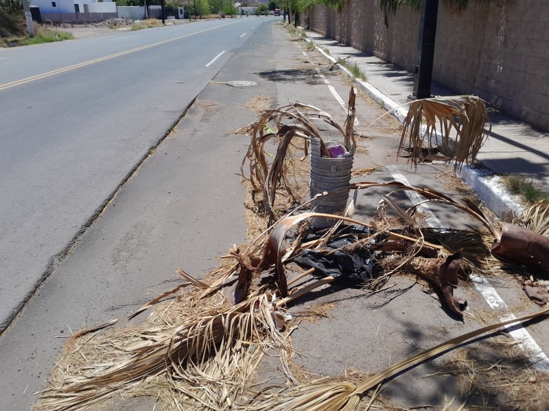 Entregan obra de mala calidad en Miramar, ya presenta baches