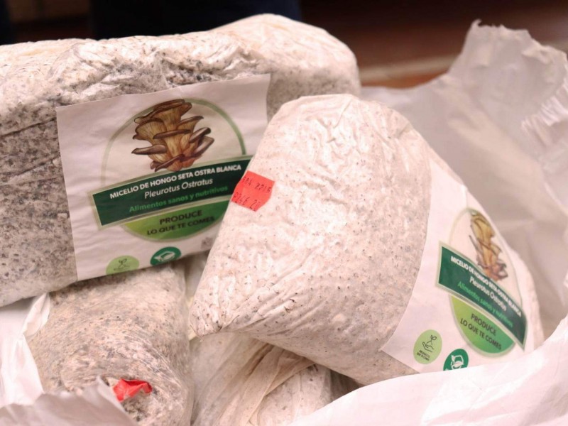 Entregan paquetes agrícolas para la producción de alimentos