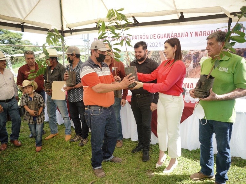 Entregan plantas de guanábana y naranja a productores rurales