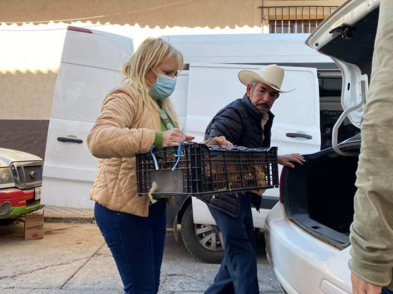 Entregan pollitos a bajo costo a familias de Cotija