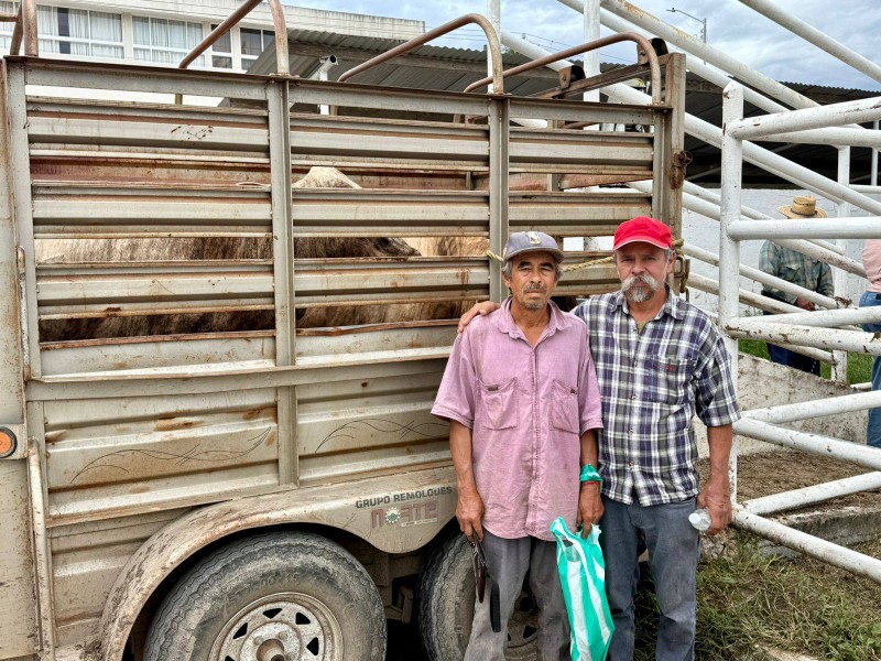 Entregan  reses  recuperadas a propietarios en Tuxpan