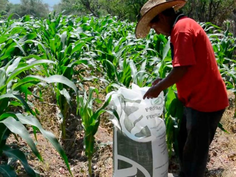 Entregarán fertilizantes en apoyo al campo de cultivo
