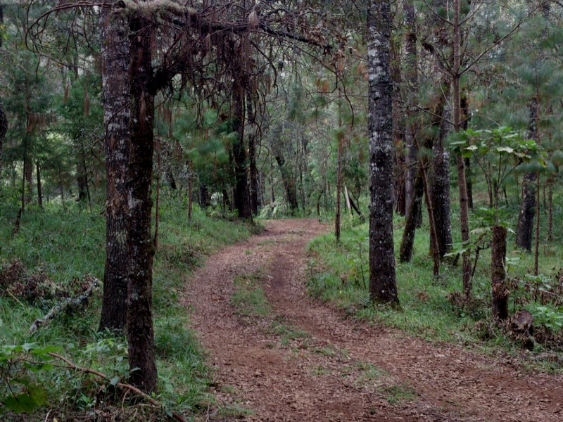 Entregarán recursos de Ciapacov a Cerro Grande