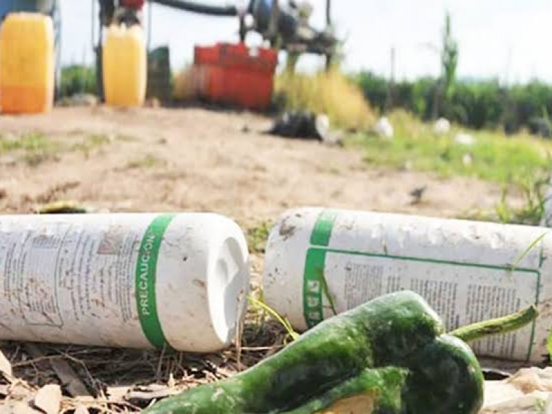 Envases de plaguicidas contaminan acuíferos y tierras de cultivo
