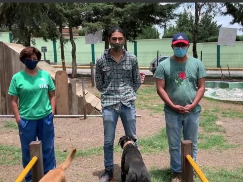 Envenenan a 8 perros en Jocotitlán