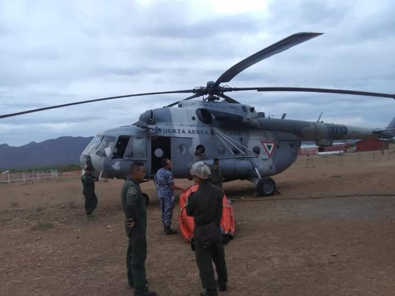 Envían más brigadistas para combatir el incendio de Álamos