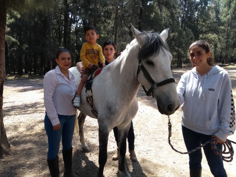 Equinoterapia, un beneficio físico-psicológico