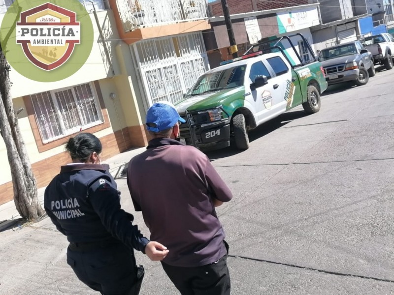 Fue detenido por presunto delito de maltrato animal.