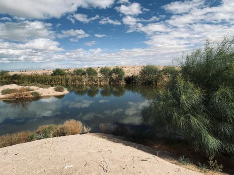 Es humedal Cucapá un legado ambiental para San Luis