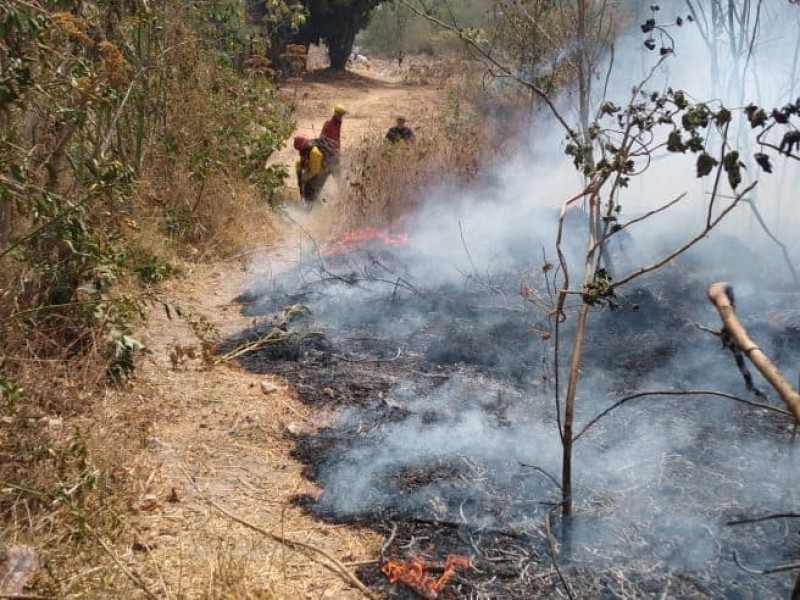 Es Jalisco sexto nacional en incendios de zonas forestales sensibles