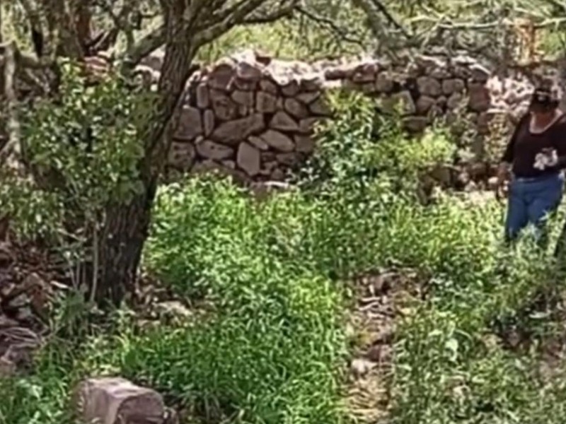 Escarabajos confirma hallazgo de restos humanos en Jerez y abandono de autoridades