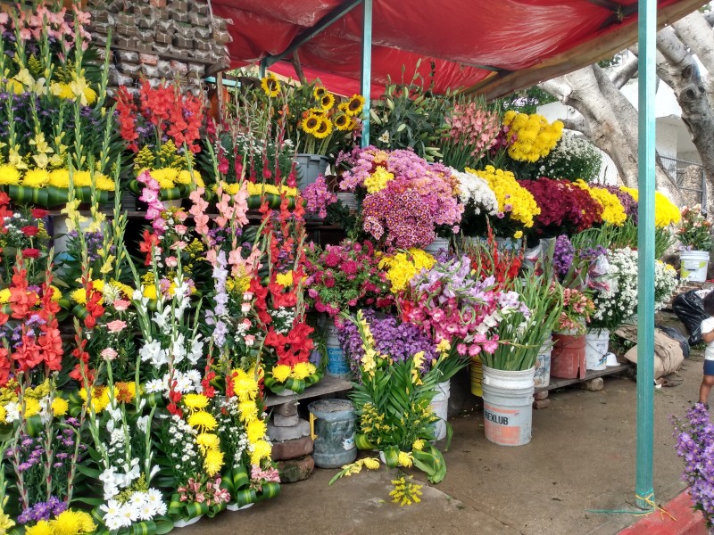 Escasez de flores por lluvias reportan comerciantes