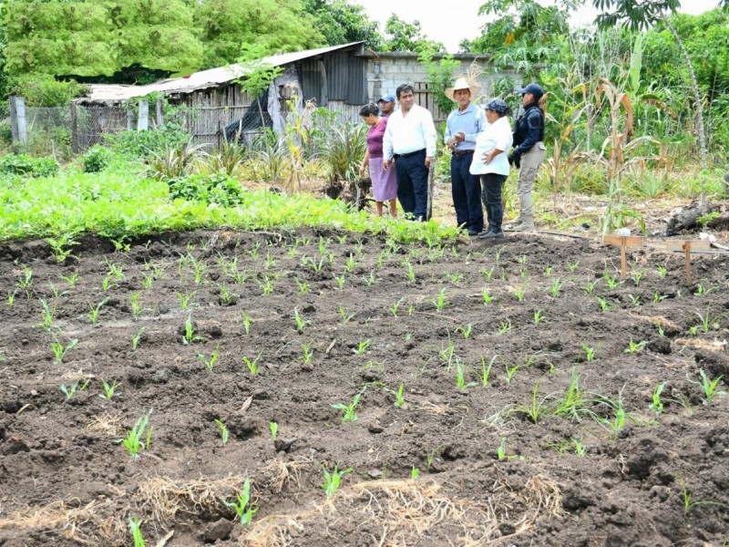 Escuelas Campesinas; más oportunidades para agricultores