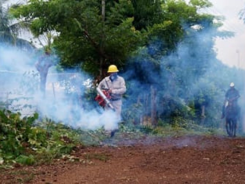 Escuelas de Veracruz solicitan fumigaciones