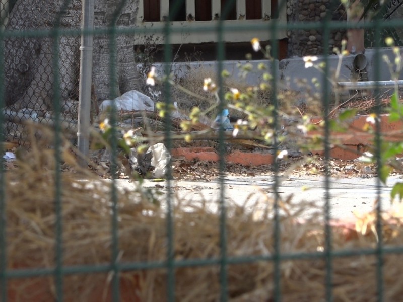 Escuelas en el abandono, solo maleza y basura