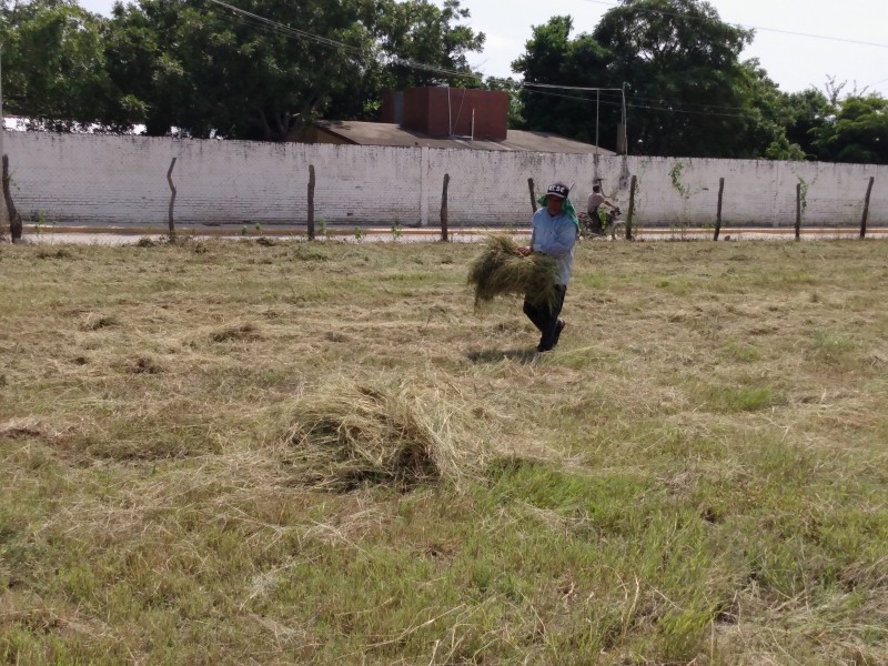 Escuelas implementan medidas de prevención contra el dengue