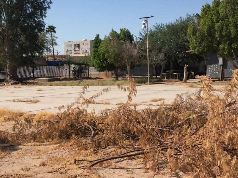 Escuelas lucen en completo abandono ante pandemia