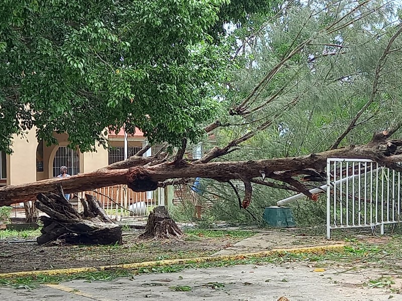 Escuelas de Tuxpan reportan afectaciones