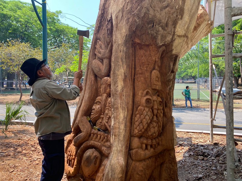 Escultor ángel luna da vida a árbol muerto de huanacaxtle