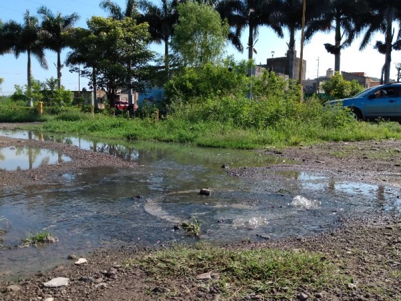 Escurrimiento de aguas negras contamina arroyo