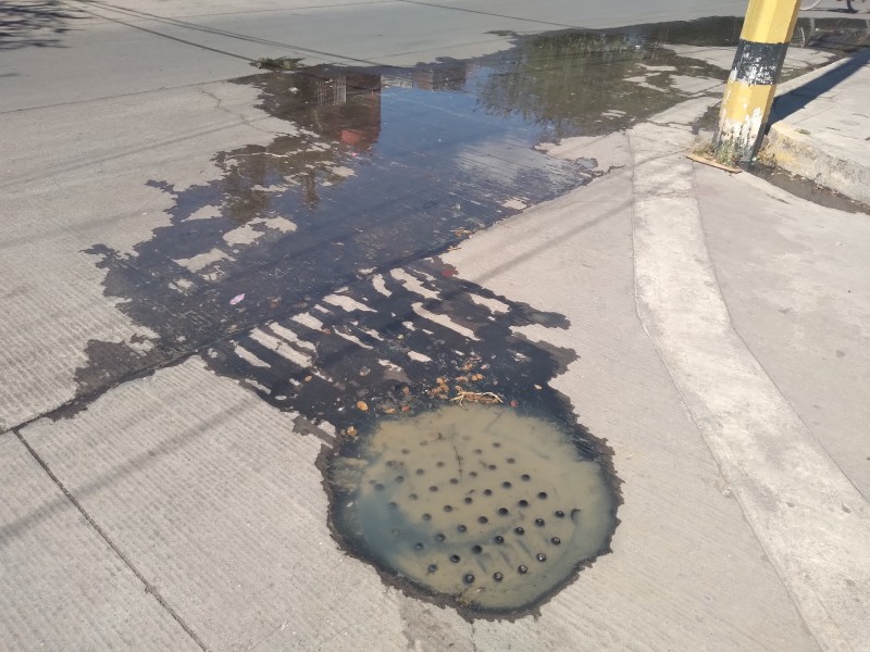 Escurrimiento de aguas residuales genera fetidos olores en colonia zamorana