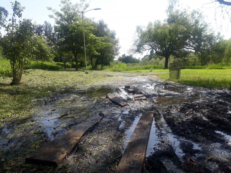 Escurrimientos naturales afectan al Parque Ecologico de Tepic