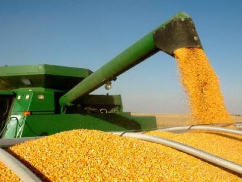 Eslovaquia ayudará a exportar trigo ucraniano para frenar encarecimiento