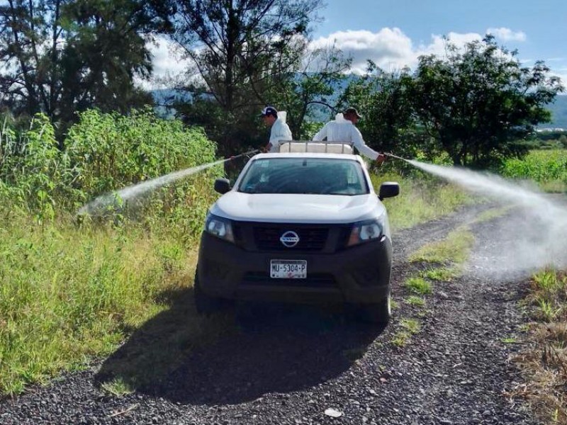 Esparcen hongo para control de plagas en campos zamoranos