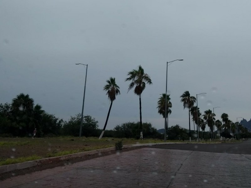 Especialistas de UNAM trabajan en obras de Guaymas