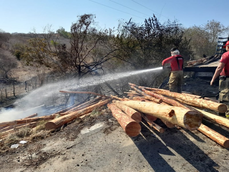 Especies silvestres calcinadas, riesgo de incendios forestales