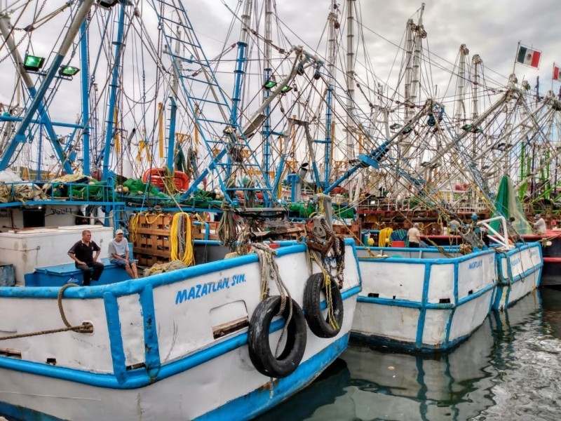 Esperan fuertes pérdidas tras embargo de camarón mexicano