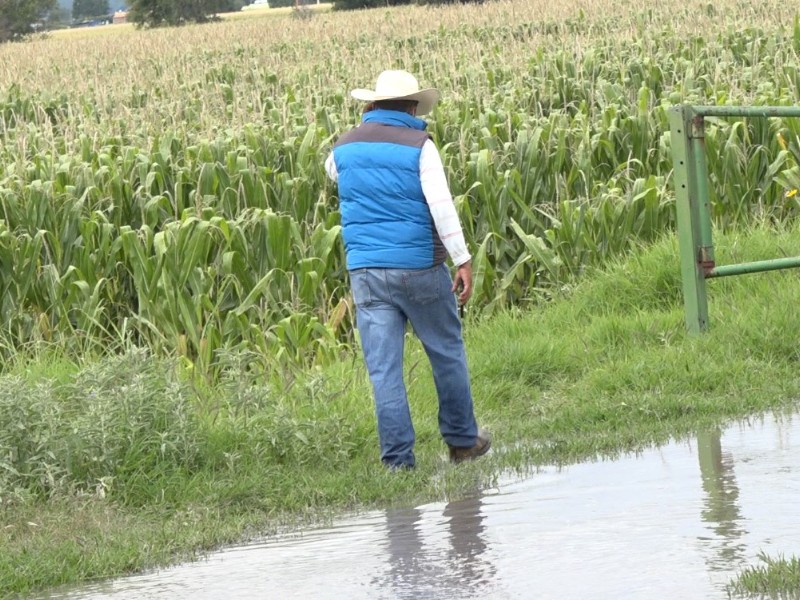 Esperan lluvias este 15 de mayo como marca la tradición