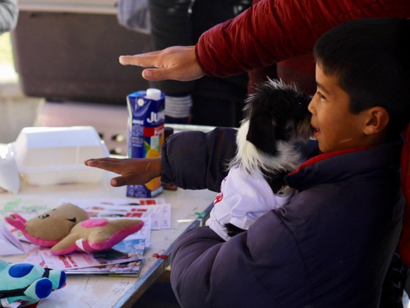 Hubo 24 adopciones durante Mascota Fest