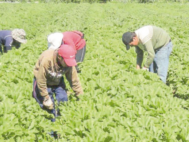 Esperan mejoras en el presupuesto para el Campo en 2021