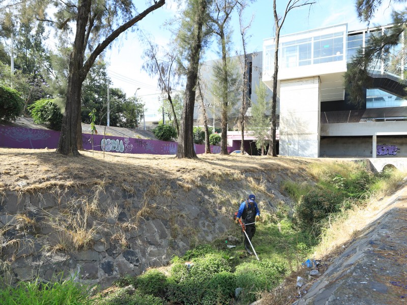 Esperan menos inundaciones en canal de Patria este año