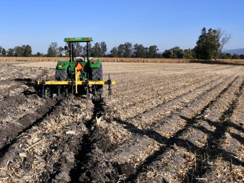 Esperan productores del campo completar cosecha este año