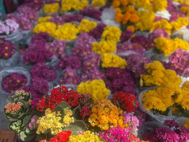 Esperan vendedores de flores, repunte por 1 y 2 noviembre