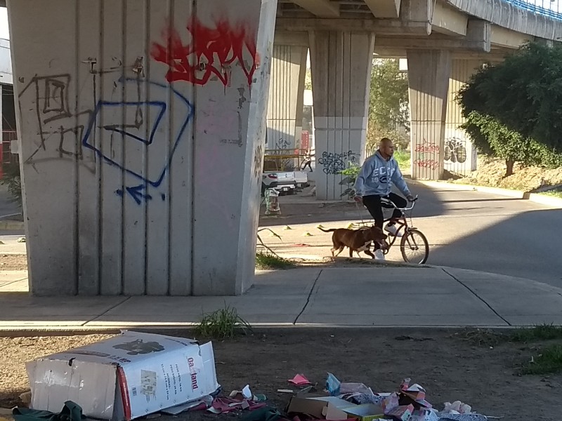 Está sucio y descuidado un puente en Silao