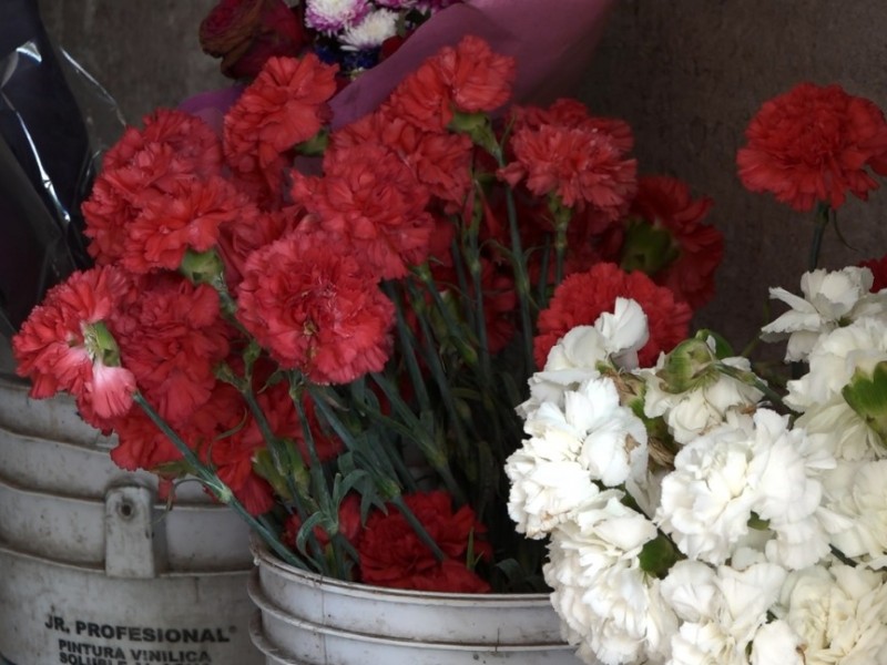 Establecen precio de flores para Día de Muertos | MEGANOTICIAS