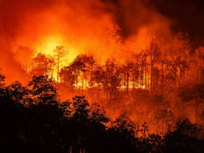 Estado de México; segundo lugar en incendios