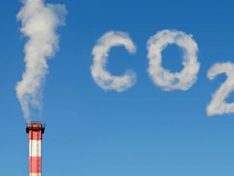 Estado debe facilitar la compra de bonos de carbono